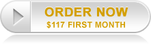 Help me choose: Free, Personal or Business version gem order now 2 Help me choose: Free, Personal or Business version