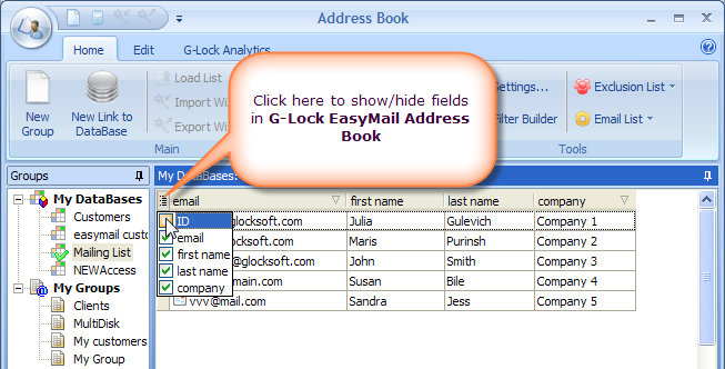Segmenting List Using G Lock EasyMail Capabilities hide fields Segmenting List Using G Lock EasyMail Capabilities